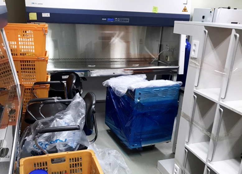 Cdmogen